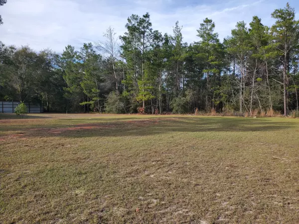 Defuniak Springs, FL 32433,TBD E Lafavre Lane