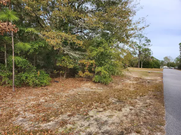 Lot 43 Pinewood Drive, Defuniak Springs, FL 32433