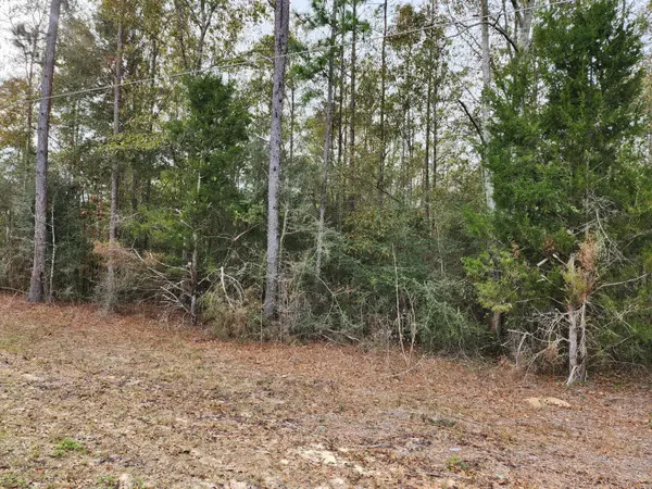 Defuniak Springs, FL 32433,Lot 43 Pinewood Drive