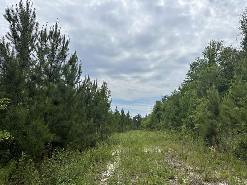 Tract#6102 Hwy 55, Other, AL