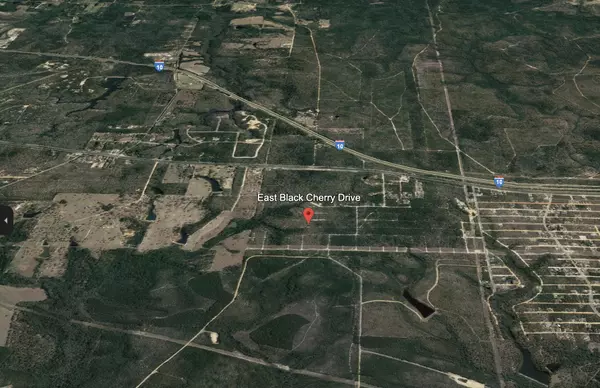 Defuniak Springs, FL 32433,Lot #7 E Black Cherry Drive