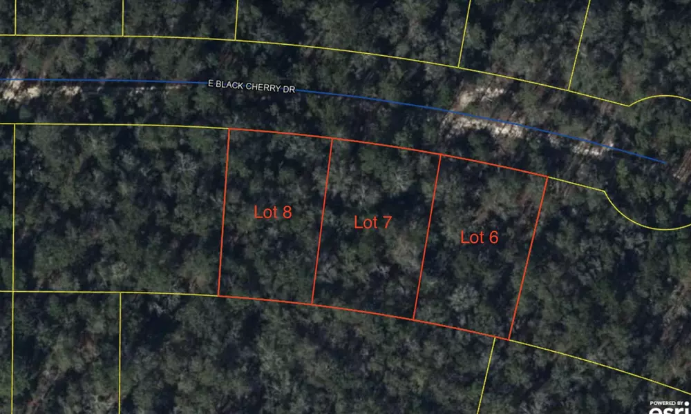 Lot #8 E Black Cherry Drive, Defuniak Springs, FL 32433