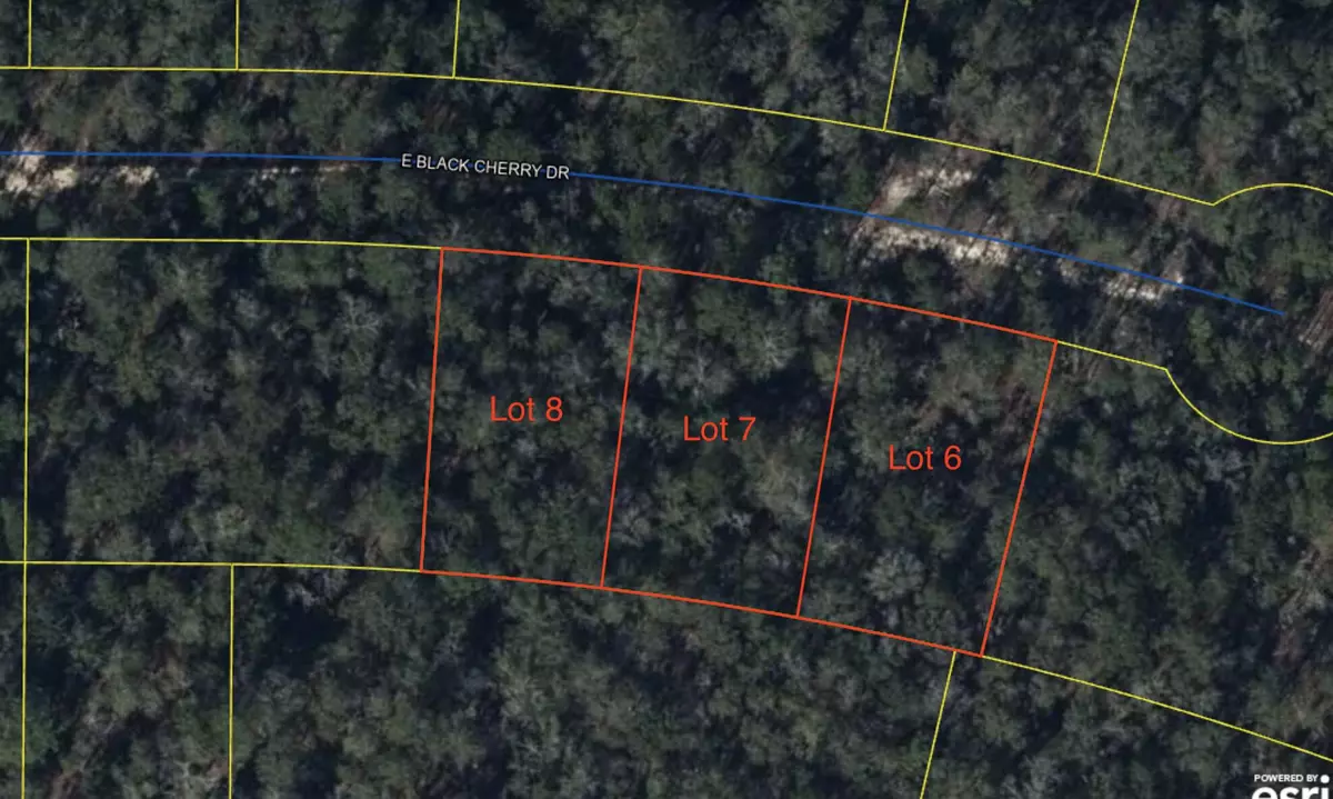 Defuniak Springs, FL 32433,Lot #8 E Black Cherry Drive