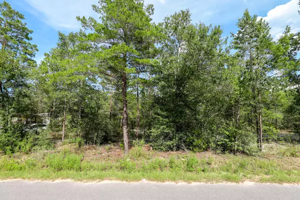 Defuniak Springs, FL 32433,LOT 101 E Raphael Road