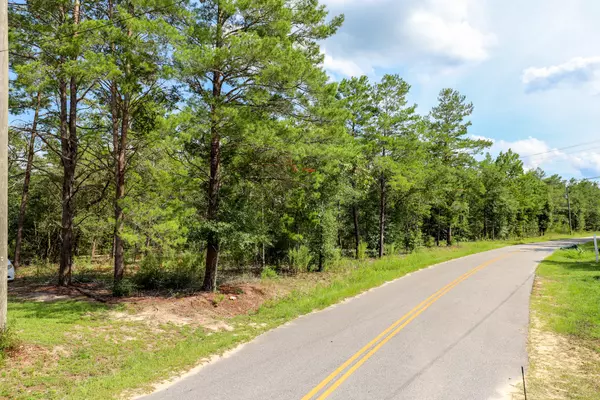 Defuniak Springs, FL 32433,LOT 101 E Raphael Road