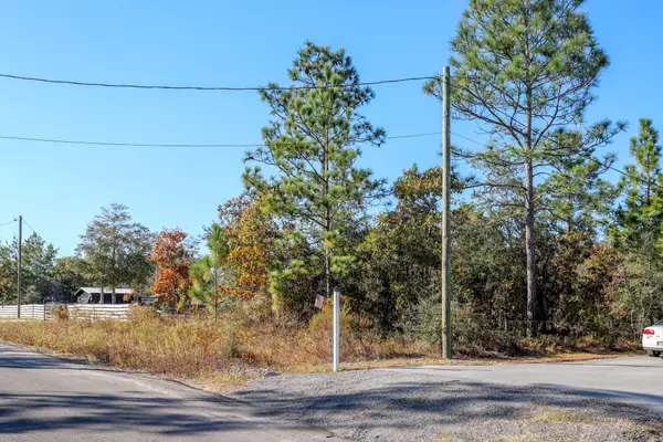 Defuniak Springs, FL 32433,LOT 28 E Iris Lane