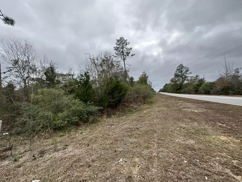 Tract#6411 E White Road, Chipley, FL 32428