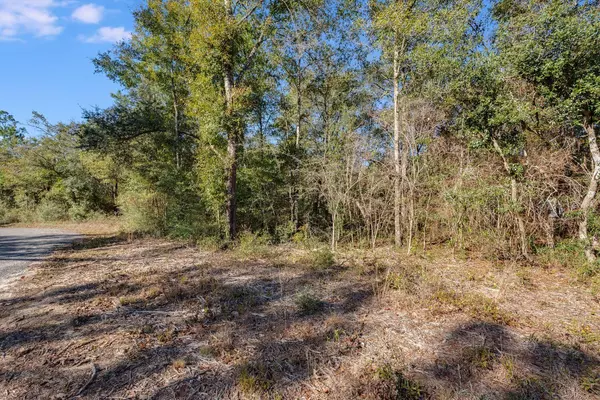 Defuniak Springs, FL 32433,LOT 20 Hurricane Drive