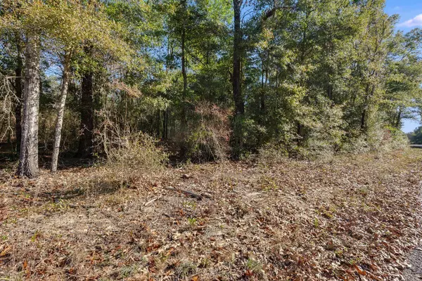 Defuniak Springs, FL 32433,LOT 20 Hurricane Drive