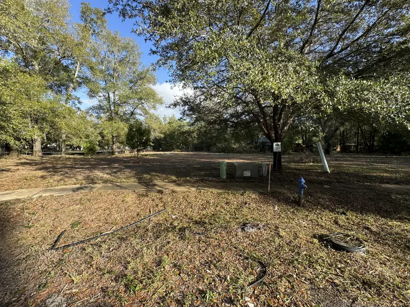 Lot 20 of Grande Oaks on Jessica Court, Freeport, FL 32439