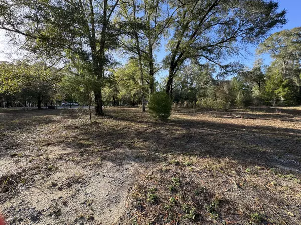 Freeport, FL 32439,Lot 21 of Grande Oak on Jessica Court