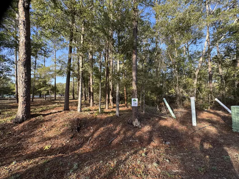 Lot 28 of Caswell Branch Road, Freeport, FL 32439