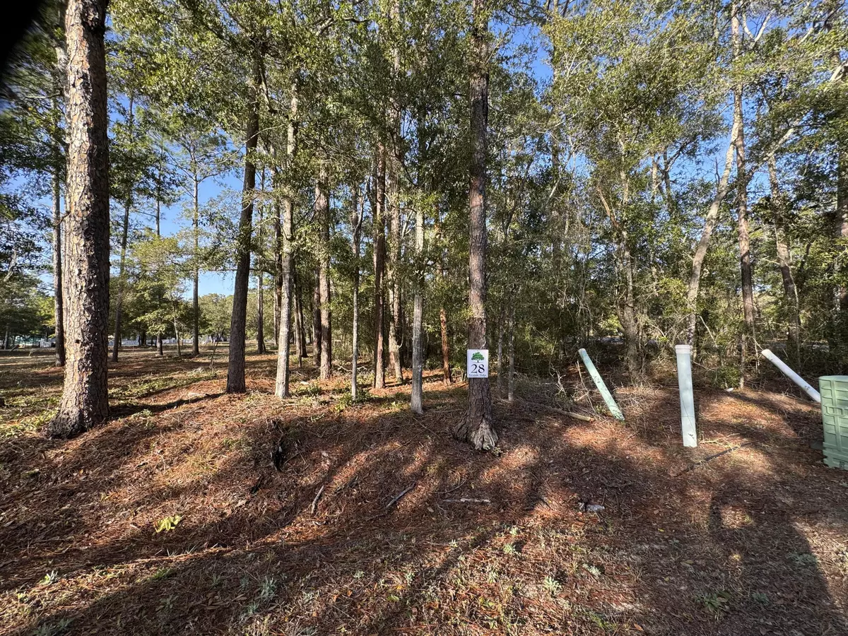 Freeport, FL 32439,Lot 28 of Caswell Branch Road