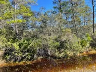 Santa Rosa Beach, FL 32459,LOT 39 Wind Spray Court