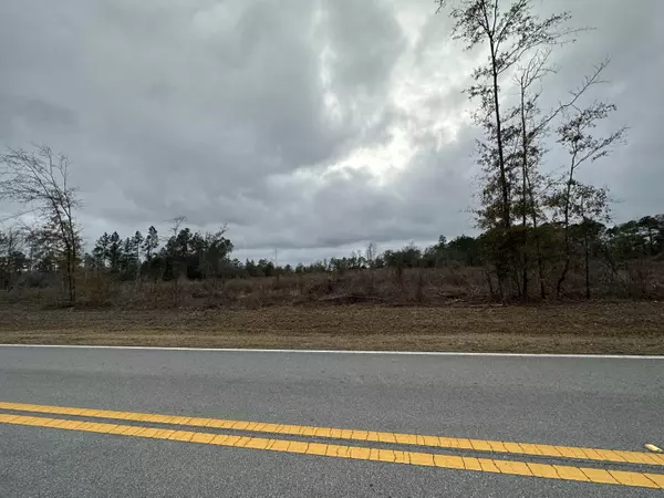 Bonifay, FL 32425,Tract#6337 S Decon Road