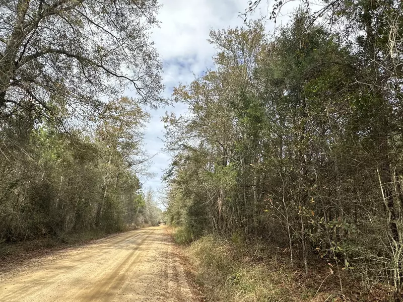 Tract#6301 SW Love Road, Bonifay, FL 32425