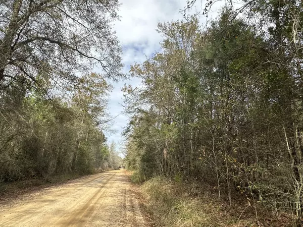 Tract#6301 SW Love Road, Bonifay, FL 32425