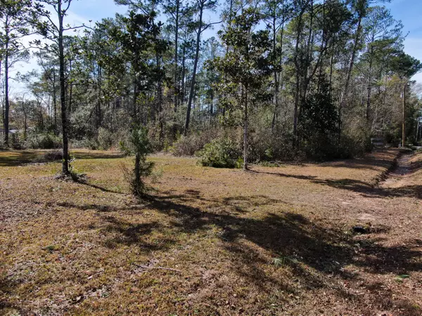 Freeport, FL 32439,Lot 44 Sparkleberry Lane