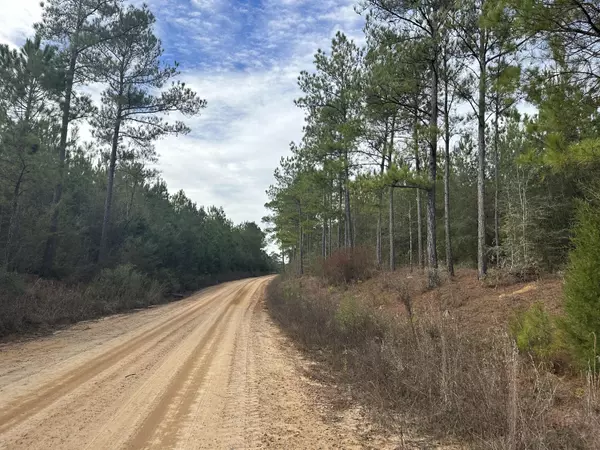 Bonifay, FL 32425,Tract#6301 E Beall Road