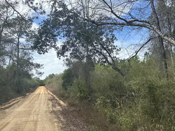 Tract#6301 NE Love Road, Bonifay, FL 32425