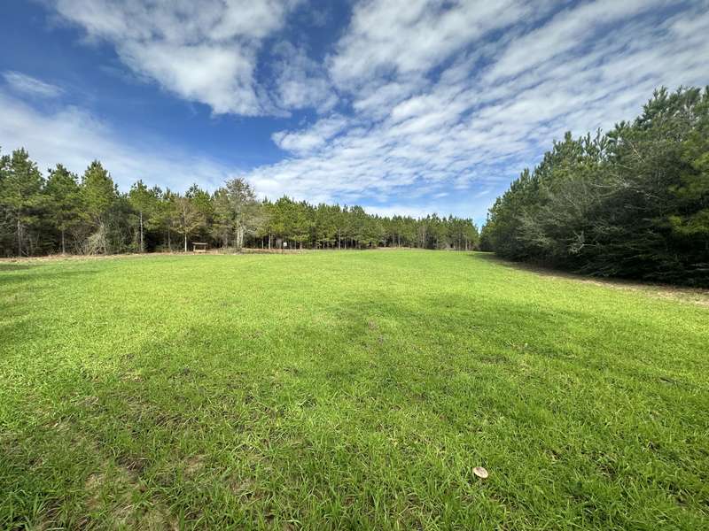 Tract#6301 Beall Road  #Love Beall North, Bonifay, FL 32425