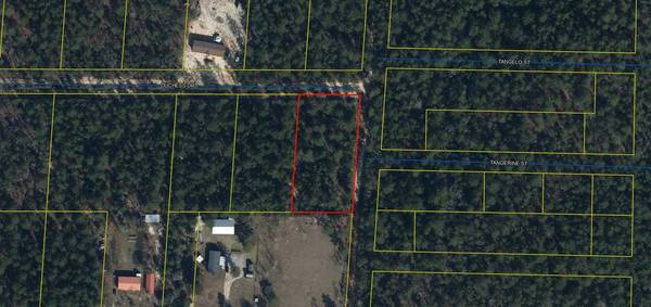 256 Duchess Drive,  Defuniak Springs,  FL 32433