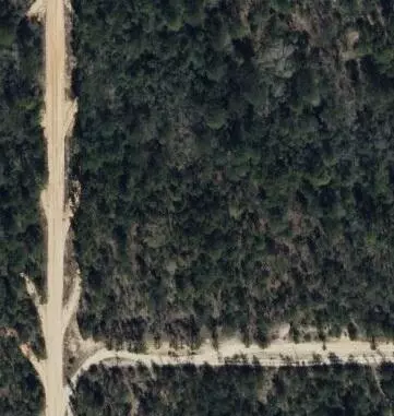 Defuniak Springs, FL 32433,0.94 Acres Princess Drive