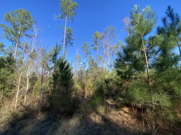 Laurel Hill, FL 32567,Parcel B Old Ebenezer Road