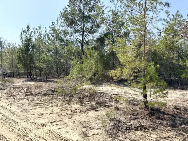 Defuniak Springs, FL 32433,Lot 24 Clearwater Drive