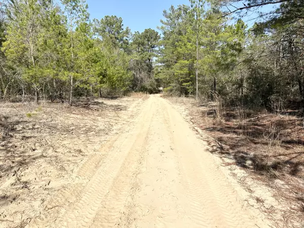 Defuniak Springs, FL 32433,Lot 24 Clearwater Drive