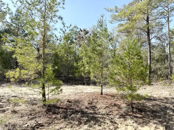 Defuniak Springs, FL 32433,Lot 24 Clearwater Drive