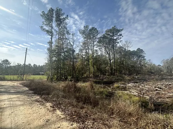 Bonifay, FL 32425,Tract#6331 Sellers Road