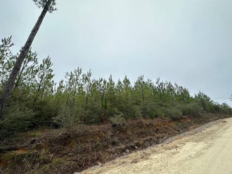 Tract#6418 N Mattox Springs Road  #N1, Caryville, FL 32427