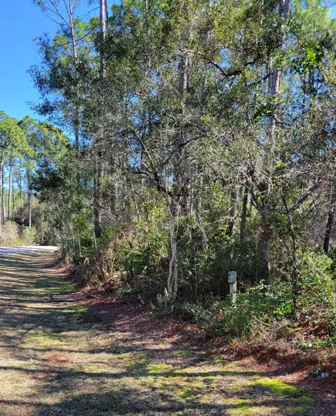 Lot #5 N Brookwood Drive, Santa Rosa Beach, FL 32459