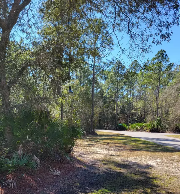 Santa Rosa Beach, FL 32459,Lot #5 N Brookwood Drive