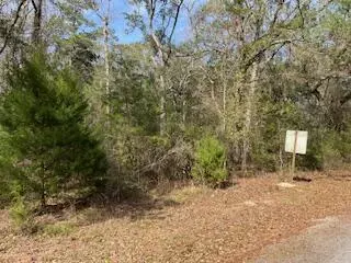 Ponce De Leon, FL 32455,Lot 25,26 Choctawhatchee River Road