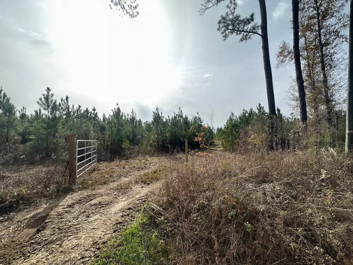 Bonifay, FL 32425,Tract 6307 County Road 65