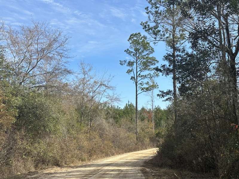 Tract 6317 N Harris Stevenson Road, Bonifay, FL 32425