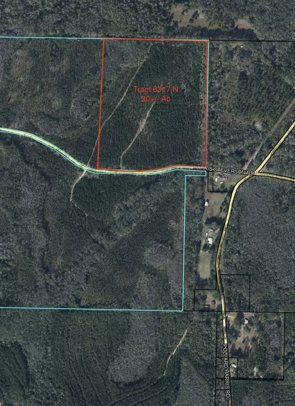 Bonifay, FL 32425,Tract 6317 N Harris Stevenson Road