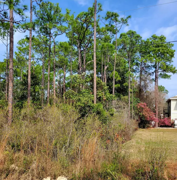 Santa Rosa Beach, FL 32459,Lots 15-19 North K Street