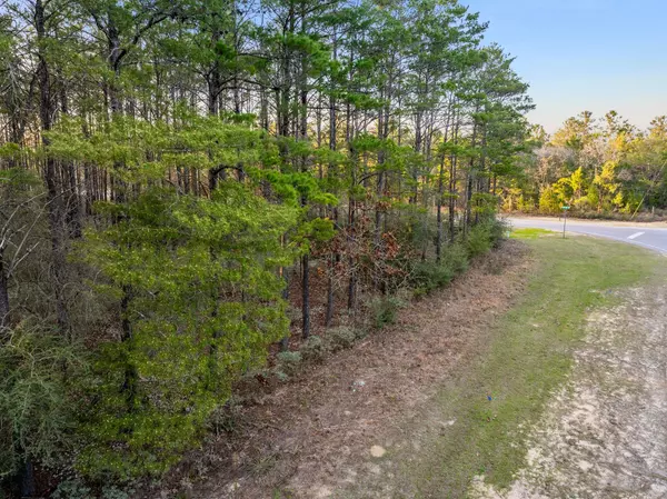 Defuniak Springs, FL 32433,5 ACRES Luffa Lane