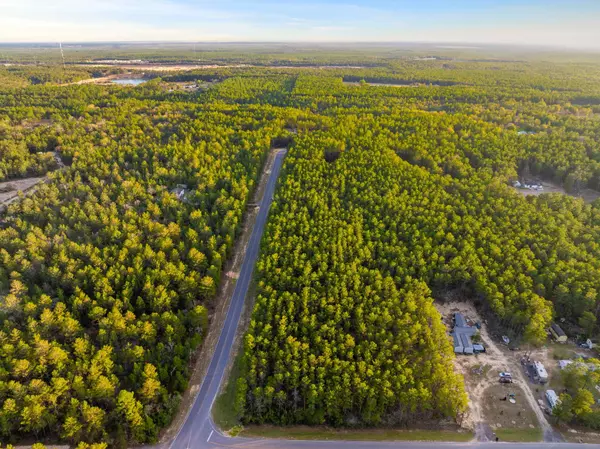 Defuniak Springs, FL 32433,5 ACRES Luffa Lane