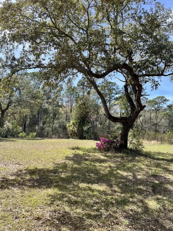 Freeport, FL 32439,Lot 9 Carol Place