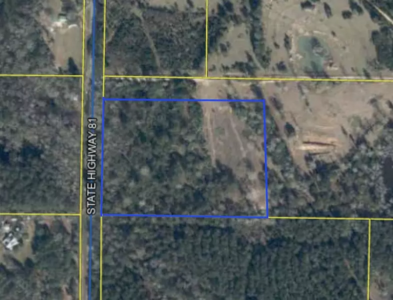 10 Acres S State Highway 81, Ponce De Leon, FL 32455