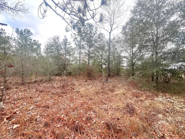 Defuniak Springs, FL 32433,4 Ac Rockman Lane