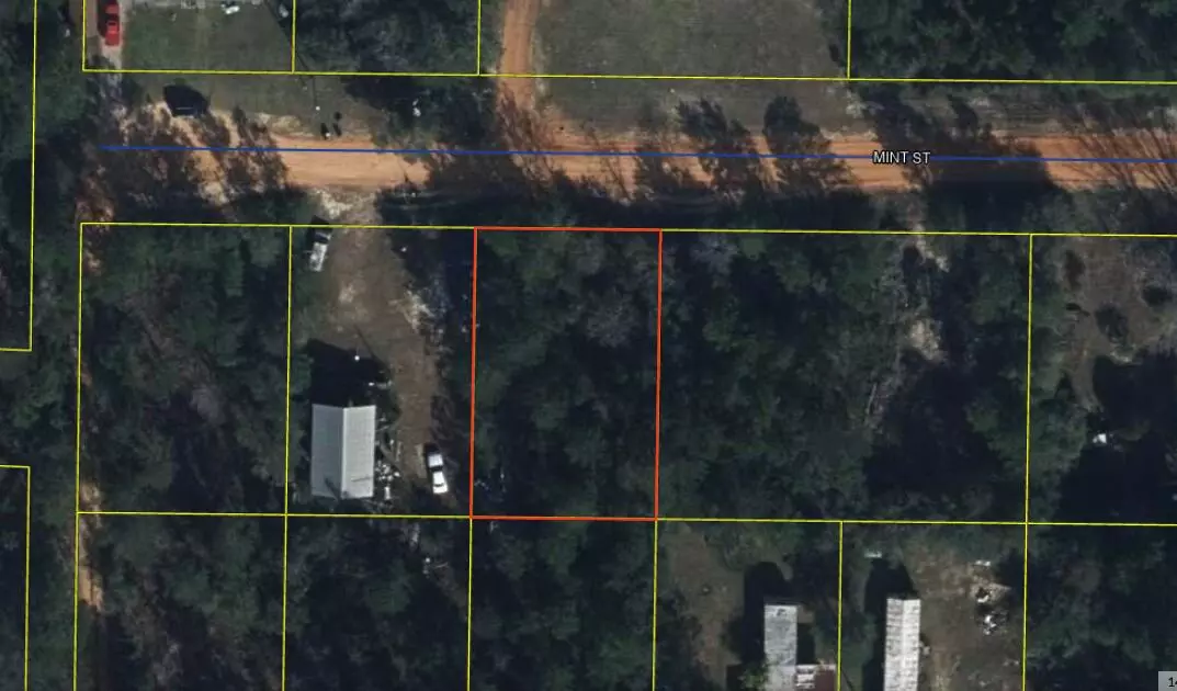 Defuniak Springs, FL 32433,0 Mint Street