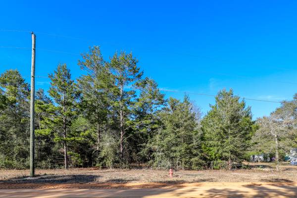 LOT 52 Passion Flower Street,  Defuniak Springs,  FL 32433