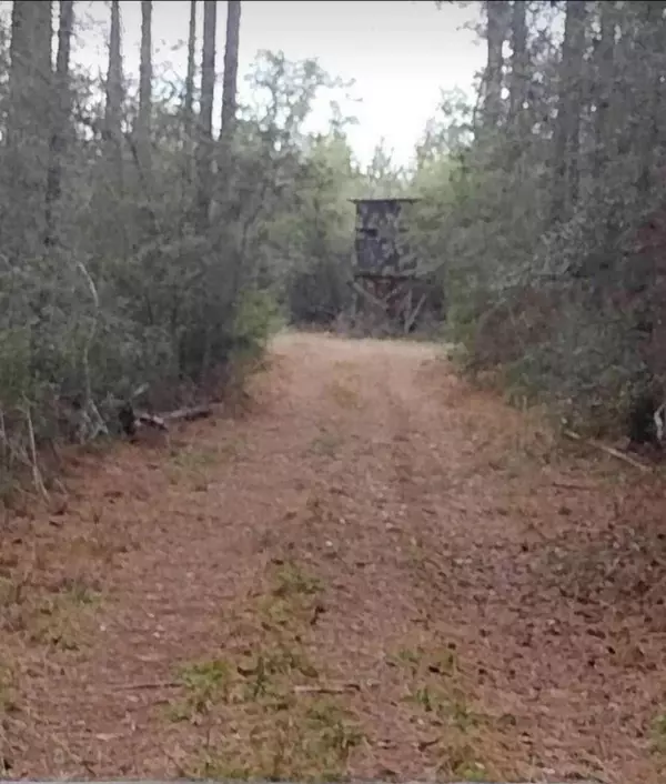 Westville, FL 32464,Lot 24 Beech Drive