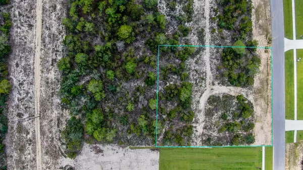 Freeport, FL 32439,Lot 13A Brushed Dune Circle