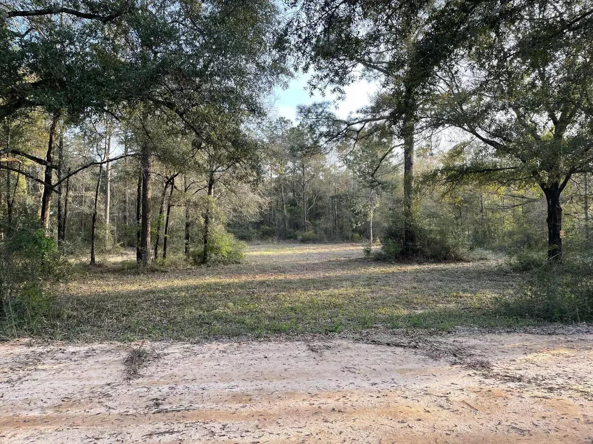 Defuniak Springs, FL 32435,80 John Curry Road